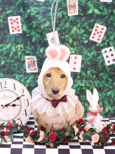 20250419レオンくん